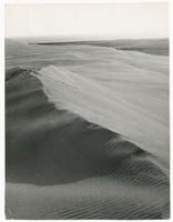  Kurische Nehrung,  Dünenmeer Kurische Nehrung, Dünen