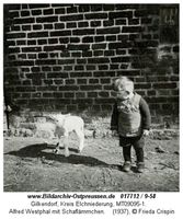 Gilkendorf, Kreis Elchniederung 