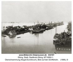 Elbing, Stadt, Stadtkreis Elbing 