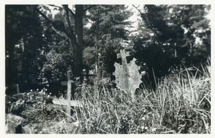 Nidden, Kreis Memel Nidden, Friedhof XX Нидден, кладбище, XX