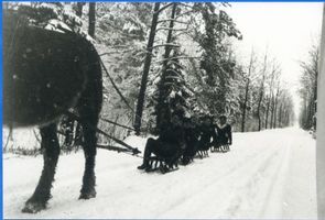 Plibischken, Kreis Wehlau Plibischken, Winterliche Schlittenfahrt Плибишкен, зимняя поездка на санях