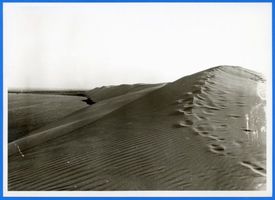 Nidden, Kreis Memel Nidden, Düne Nidden, Landschaft - Ostsee - Umgebung