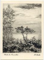 Rauschen Kr. Samland, Kreis Samland Rauschen Kr. Samland, Küste bei Rauschen 