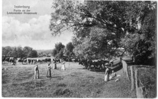 Insterburg, Stadt, Stadtkreis Insterburg 