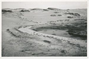 Schwarzort, Kreis Memel Schwarzort, Dünenlandschaft II Шварцорт, дюнный ландшафт, II
