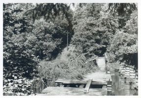 Allenstein, Stadtkreis Allenstein Allenstein - Olsztyn, Stadtwald - Teufelsbrücke Алленштайн - Ольштын, городской лес - Чёртов мост