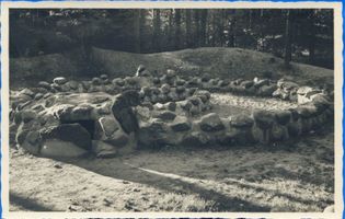 Georgenswalde, Kreis Samland Georgenswalde, Das Hügelgrab 