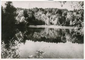 Rauschen Kr. Samland, Kreis Samland Rauschen Kr. Samland, Mühlenteich ? Rauschen, Mühlenteich