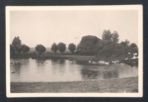 Popehnen, Kreis Wehlau Popehnen, Hofteich mit Gänsen 