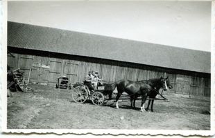  Unbekannter Ort, Erntehilfe August 1939 Landwirtschaft in Ostpreußen