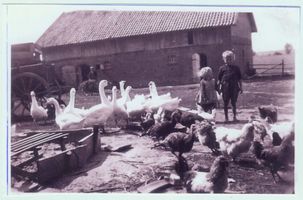 Mauenwalde, Kreis Gerdauen 