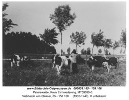 Peterswalde Kr. Elchniederung, Kreis Elchniederung 