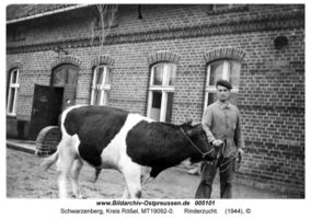 Schwarzenberg, Kreis Rößel  