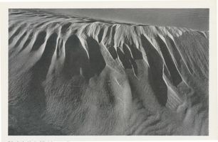 Kurische Nehrung, Dünen, Sandstrukturen, scharf schneidender Wind formt  am Dünenkamm Куршская коса, дюны, песчаные структуры, остро режущий ветер формирует гребень дюны