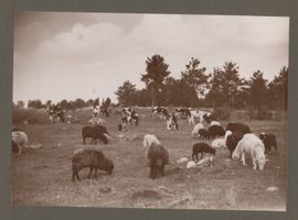 Baitenberg, Kreis Lyck 