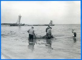 Nidden, Kreis Memel Nidden, Fischer mit Netz im Wasser Нидден, рыбак с сетью в воде