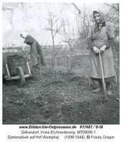 Gilkendorf, Kreis Elchniederung 