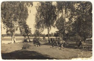 Großschmieden, Kreis Lyck 