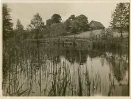 Grünheide, Kreis Treuburg Grünheide, Försterei (Lithogaino-Fluß) IV 