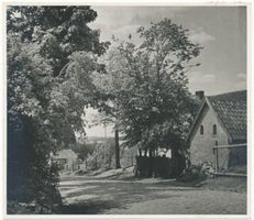 Seehausen Kr. Angerburg, Kreis Angerburg Seehausen Kr. Angerburg, Dorfstraße Зехаузен, округ Ангербург, деревенская улица