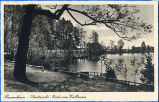 Passenheim, Stadt, Kreis Ortelsburg Passenheim, Stadtwald - Partie am Kalbensee 