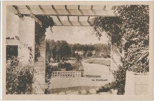 Allenstein, Stadtkreis Allenstein Allenstein, Stadtpark Алленштайн, городской парк