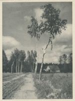  Elchniederung, Altes Forsthaus Elchniederung, Forstwirtschaft