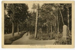 Sensburg, Stadt, Kreis Sensburg Sensburg, Waldstraße Зенсбург, Вальдштрассе