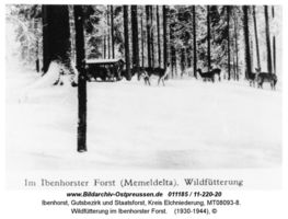 Ibenhorst, Gutsbezirk und Staatsforst, Kreis Elchniederung 