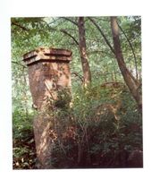 Tilsit, Stadt, Stadtkreis Tilsit Tilsit, Ortsteil Senteinen, Reste des evangelischen Friedhofs Тильзит, район Зентайнен, остатки евангелического кладбища