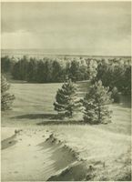 Schwarzort, Kreis Memel 