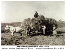 Mensguth, Gemeinde, Kreis Ortelsburg 