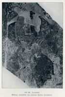 Lochstädt, Kreis Samland Lochstädt, Ordensschloß, Malereien im Gebietiger-Gemach III Lochstädt, Ordensschloß