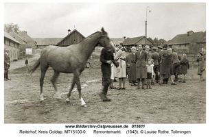 Reiterhof, Kreis Goldap 
