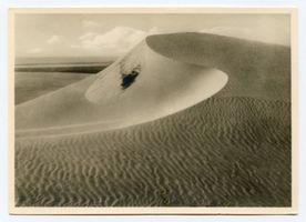  Kurische Nehrung, Wanderdüne III Куршская коса, блуждающая дюна, III