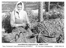 Tawe, Ort, Kreis Elchniederung 