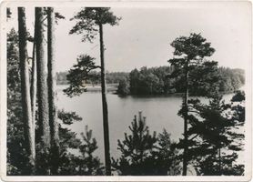  Niedersee (See), Blick zur Königsinsel VIII Masuren, Niedersee