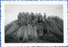Lablacken Kr. Labiau, Kreis Labiau Lablacken Kr. Labiau, Mädels im Schilf bei Kampkenhöfen Лаблаккен, район Лабиау, девушки в камышах у Кампкенхёфена