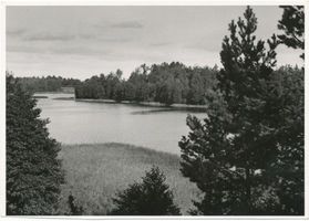  Mauersee, Blick auf das Kleine Werder vom Großen Werder aus Мауерзее, вид на Малый Вердер с Большого Вердера