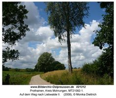 Prothainen, Kreis Mohrungen 