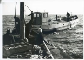 Labiau, Kreis Labiau Labiau, Boot der Fischereigenossenschaft Labiau Labiau, Orte im Kreis