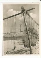  Ostsee, Fischernetze am Strand Балтийское море, рыболовные сети на пляже