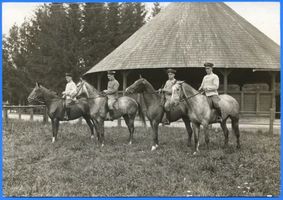 Groß Trakehnen, Kreis Ebenrode Groß Trakehnen, Vier Trakehner Wallache Гросс-Тракенен, четыре тракененских мерина