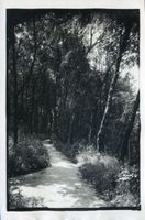 Georgenswalde, Kreis Samland Georgenswalde, Uferpromenade II Георгенвальде, приморская набережная, II