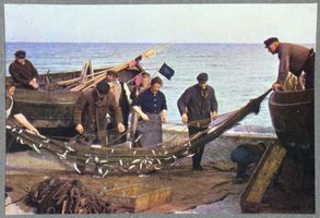  Kurische Nehrung, Fischer Netze leerend Куршская коса, рыбак вынимает сети