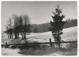 Stablack Kr. Preußisch Eylau, Gutsbezirk und Truppenübungsplatz, Kreis Preußisch Eylau Stablack Kr. Preußisch Eylau, Winter in Stablack Штаблак, округ Прёйссиш-Эйлау, зима в Штаблаке