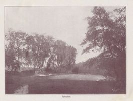 Neukuhren, Kreis Samland Neukuhren, Spielplatz im Lachsbachtal 