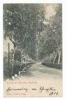 Cadinen, Kreis Elbing 