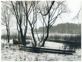  Damerausee bei Gilgenburg 