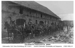 Adlerswalde (Ostpr.), Kreis Schloßberg  